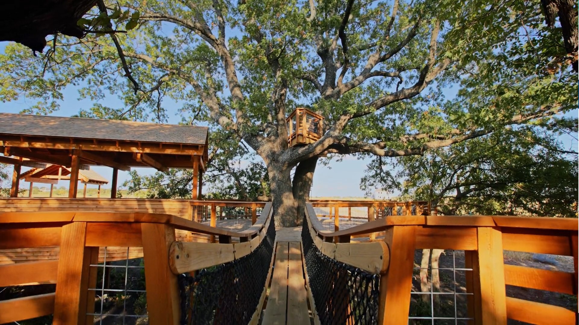 Treehouse with suspension bridge in oak tree, Solterra Texas, wooden architecture, natural setting.
