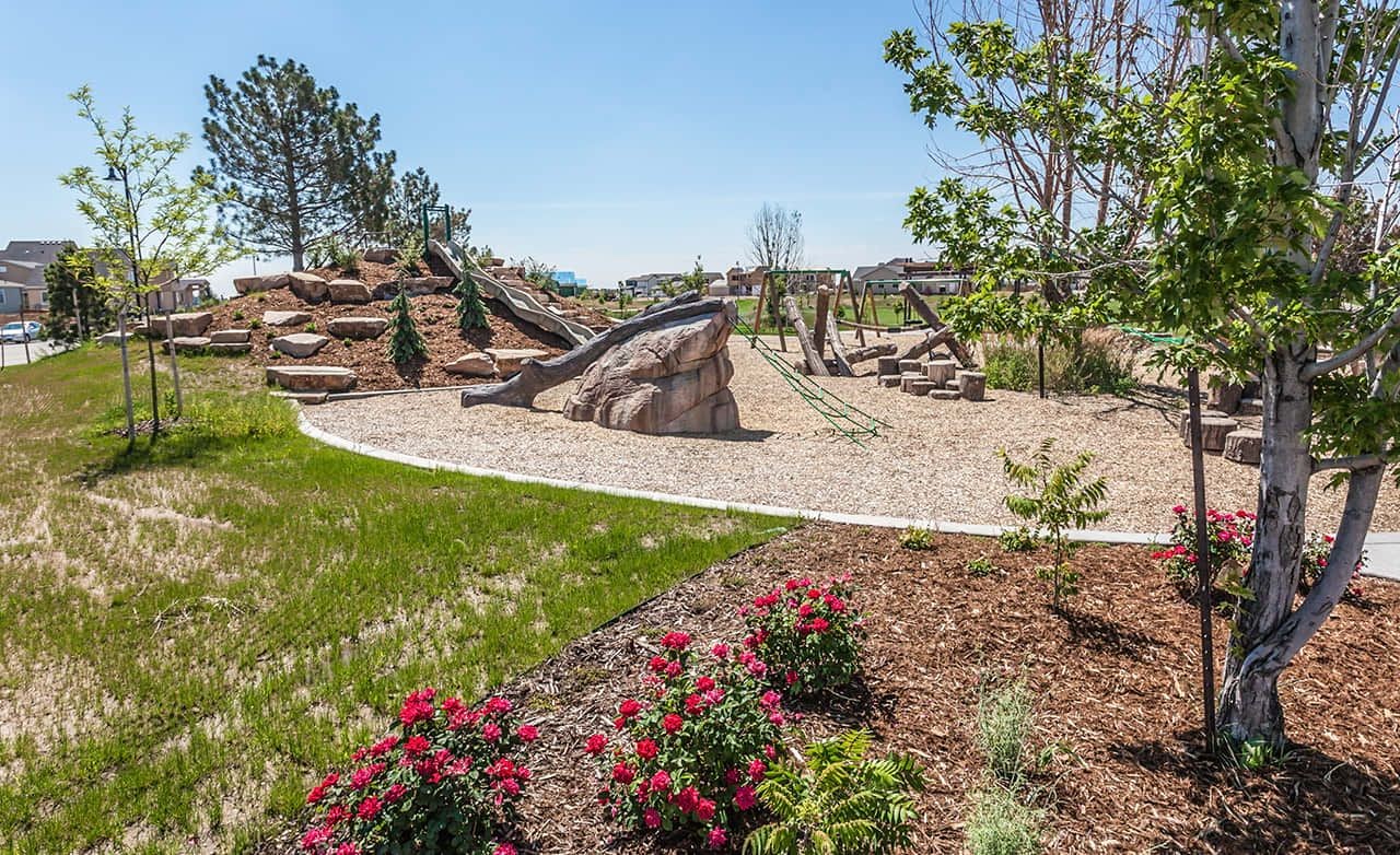 Scenic playground with climbing features, lush greenery in Trailside on Harmony community.